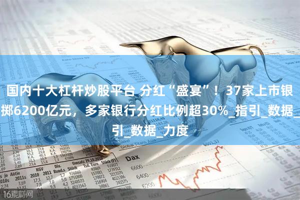 国内十大杠杆炒股平台 分红“盛宴”！37家上市银行豪掷6200亿元，多家银行分红比例超30%_指引_数据_力度