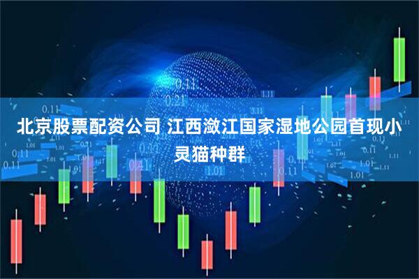 北京股票配资公司 江西潋江国家湿地公园首现小灵猫种群