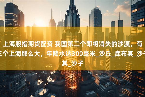 上海股指期货配资 我国第二个即将消失的沙漠，有三个上海那么大，年降水达300毫米_沙丘_库布其_沙子