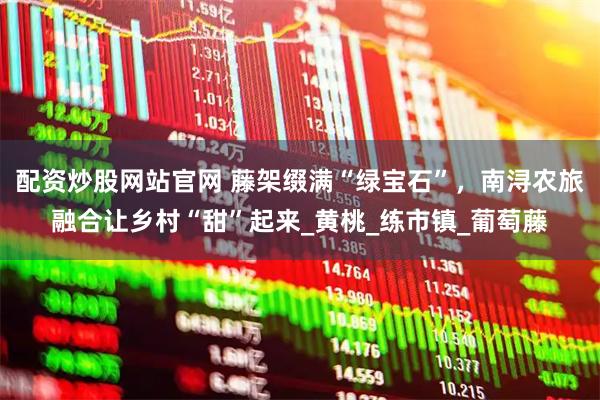 配资炒股网站官网 藤架缀满“绿宝石”，南浔农旅融合让乡村“甜”起来_黄桃_练市镇_葡萄藤